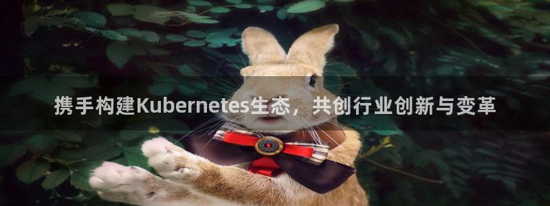 携手构建Kubernetes生态，共创行业创新与变革