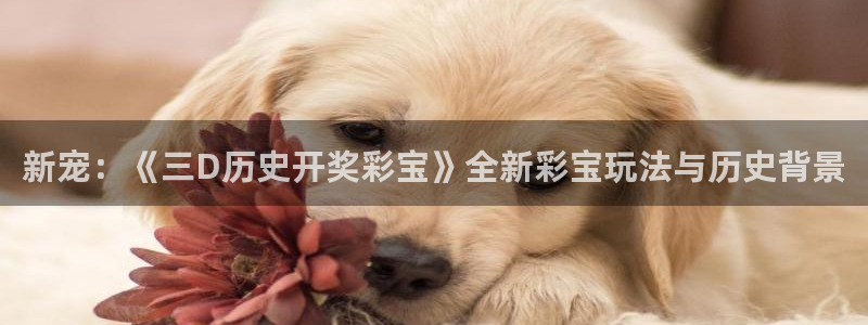 赢乐网官网：新宠：《三D历史开奖彩宝》全新彩宝玩法与历史背景