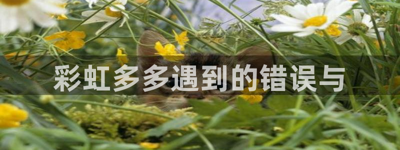 赢乐宝app下载：彩虹多多遇到的错误与
