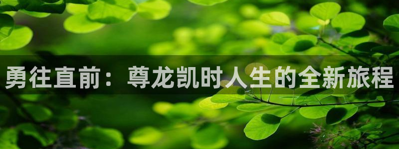 赢乐大厅官网.facca.中国：勇往直前：尊龙凯时人生的全新旅程