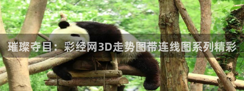 赢乐app官网下载：璀璨夺目：彩经网3D走势图带连线图系列精彩